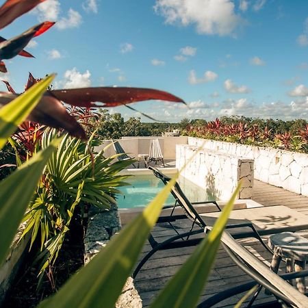 Vida Jungle Apart 1 With Special Fee To Access Hotel Bardo 图卢姆 外观 照片