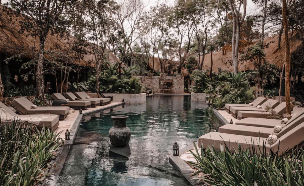 Vida Jungle Apart 1 With Special Fee To Access Hotel Bardo 图卢姆 外观 照片