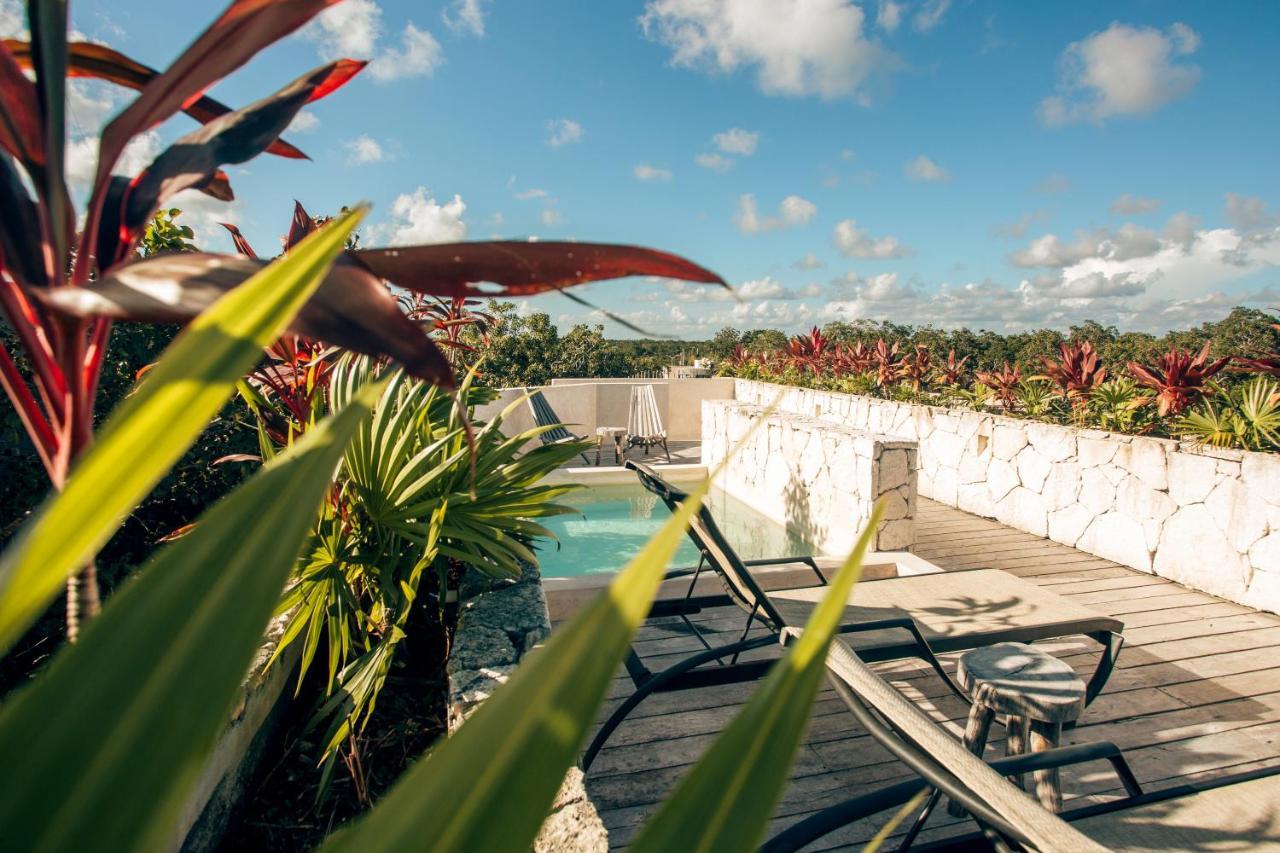 Vida Jungle Apart 1 With Special Fee To Access Hotel Bardo 图卢姆 外观 照片